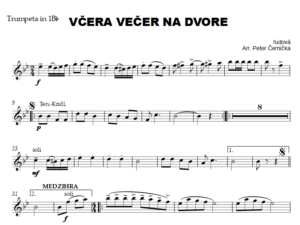 Vcera vecer na dvore