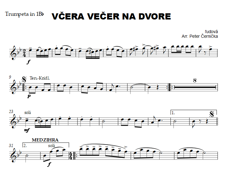 Vcera vecer na dvore